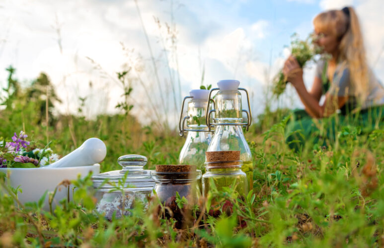 Medicinal Herb Garden: Cold and Flu